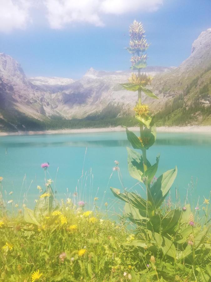 Chambres D'Hotes Pres De Verbier Volleges Dış mekan fotoğraf